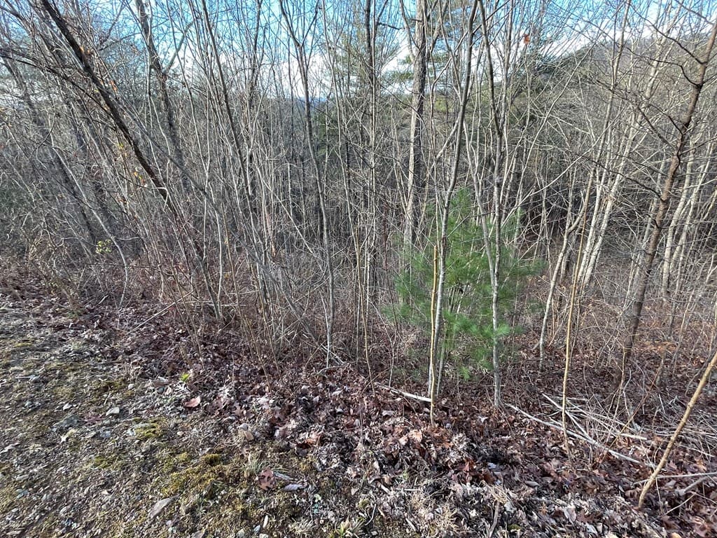 Lot 59C Mountain Harbour Lot, Hayesville NC 28904 - Photo