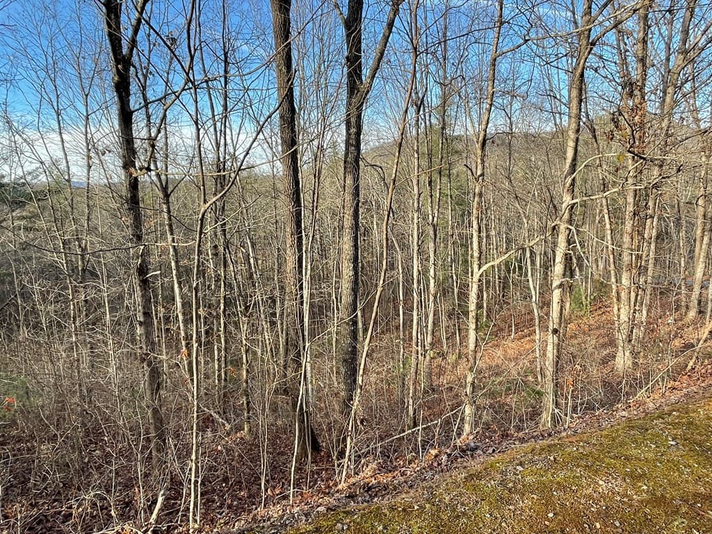 Lot 59C Mountain Harbour Lot, Hayesville NC 28904 - Photo
