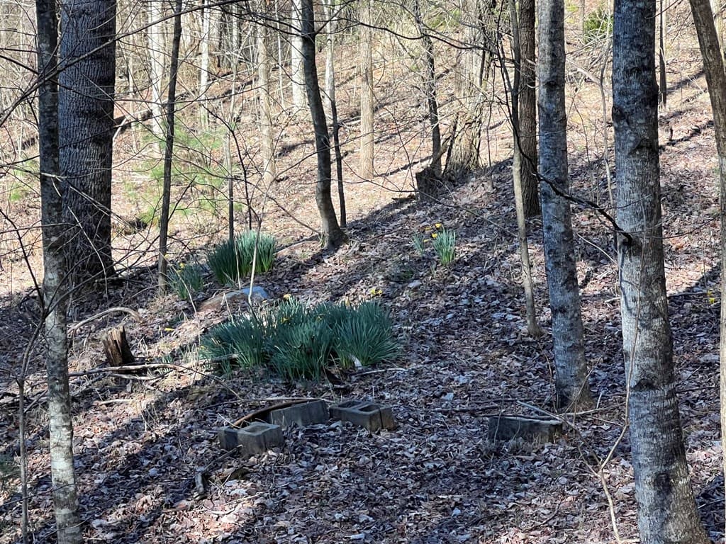 Lot 59C Mountain Harbour Lot, Hayesville NC 28904 - Photo