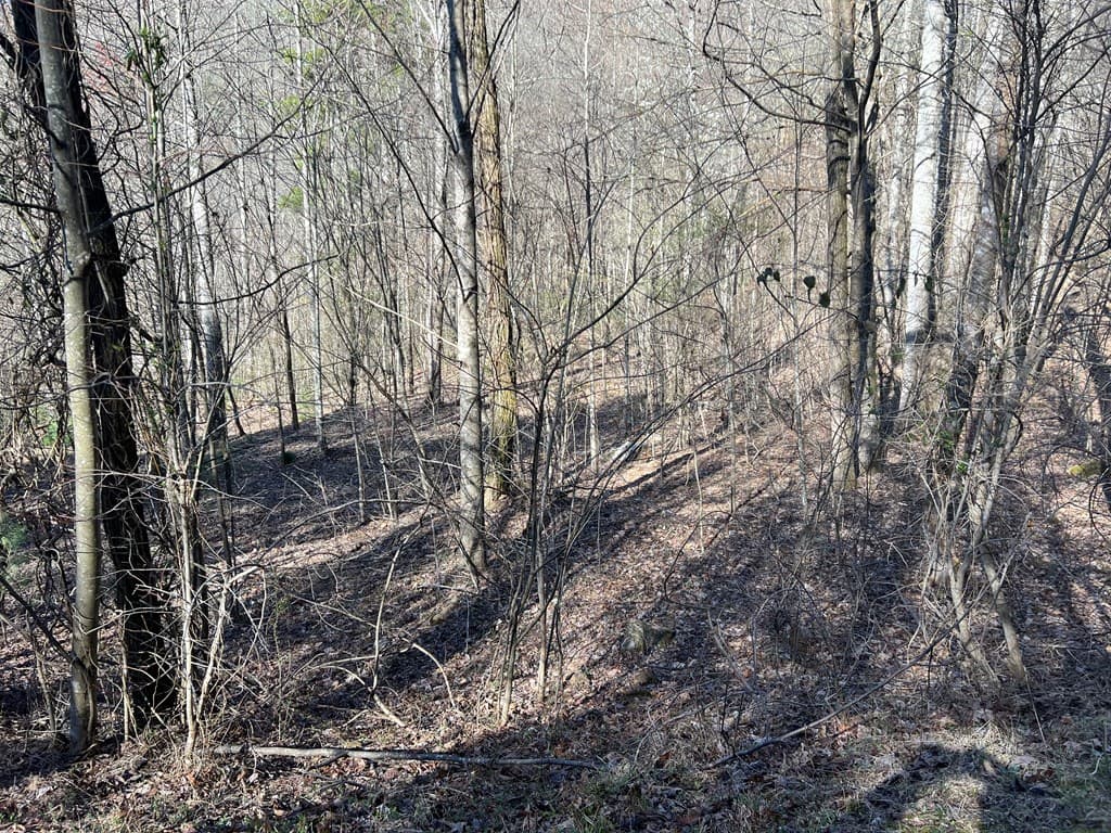 Lot 59C Mountain Harbour Lot, Hayesville NC 28904 - Photo