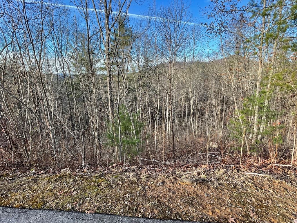 Lot 59C Mountain Harbour Lot, Hayesville NC 28904 - Photo