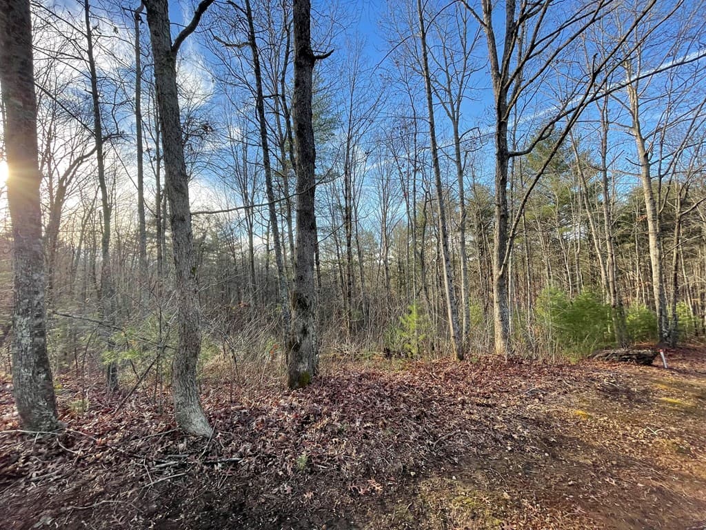 Lot 59C Mountain Harbour Lot, Hayesville NC 28904 - Photo
