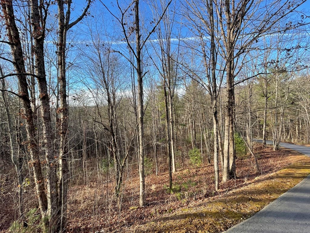 Lot 59C Mountain Harbour Lot, Hayesville NC 28904 - Photo