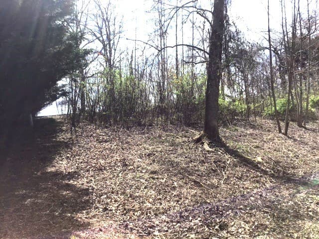 LOT 28 Sneaking Creek Drive, Hayesville NC 28906 - Photo