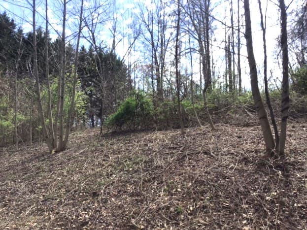 LOT 28 Sneaking Creek Drive, Hayesville NC 28906 - Photo