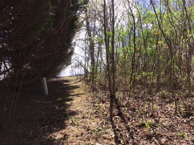 LOT 28 Sneaking Creek Drive, Hayesville NC 28906 - Photo