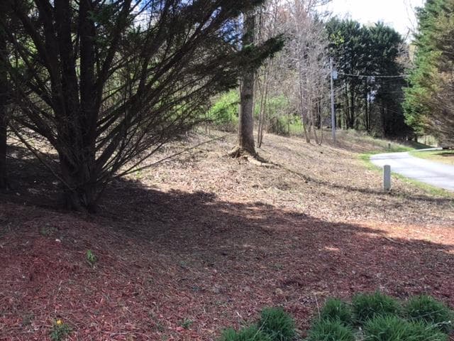 LOT 28 Sneaking Creek Drive, Hayesville NC 28906 - Primary photo