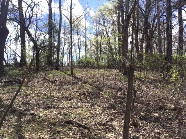 LOT 28 Sneaking Creek Drive, Hayesville NC 28906 - Photo