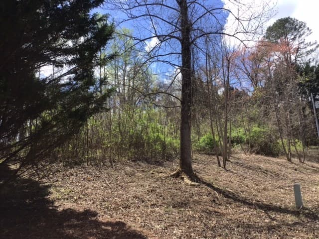 LOT 28 Sneaking Creek Drive, Hayesville NC 28906 - Photo