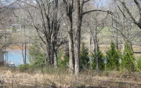 LOT 28 Sneaking Creek Drive, Hayesville NC 28906 - Photo