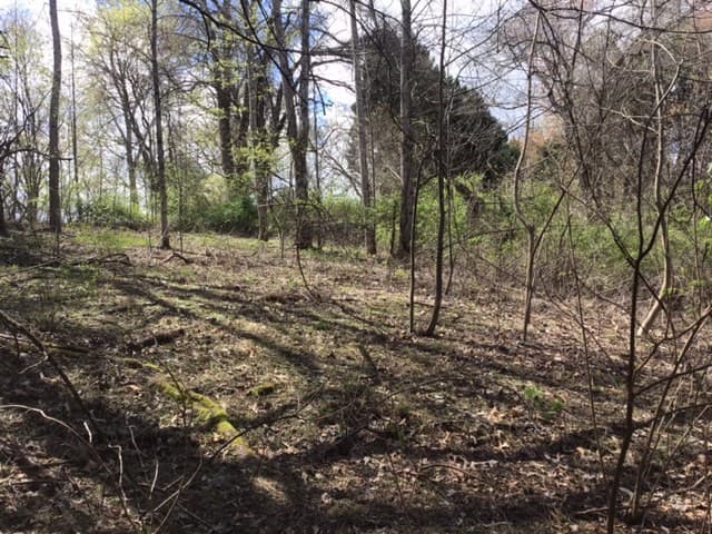 LOT 28 Sneaking Creek Drive, Hayesville NC 28906 - Photo
