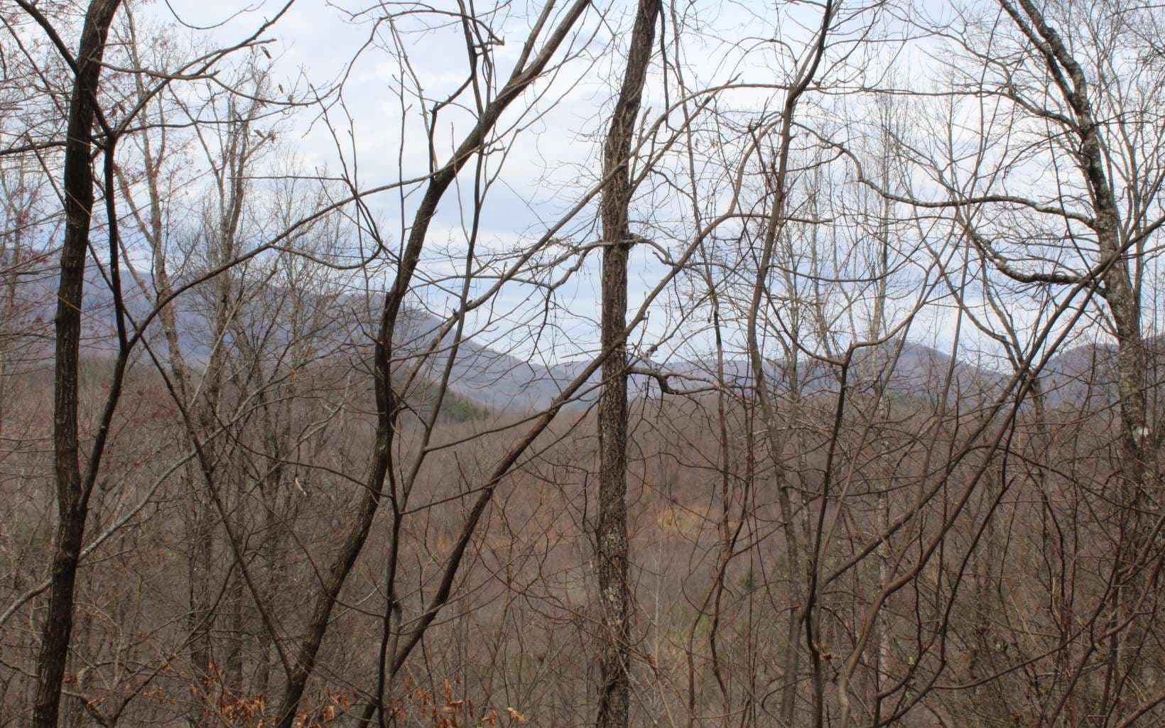 1&1A N Ridge High Meadows, Hayesville NC 28904 - Photo