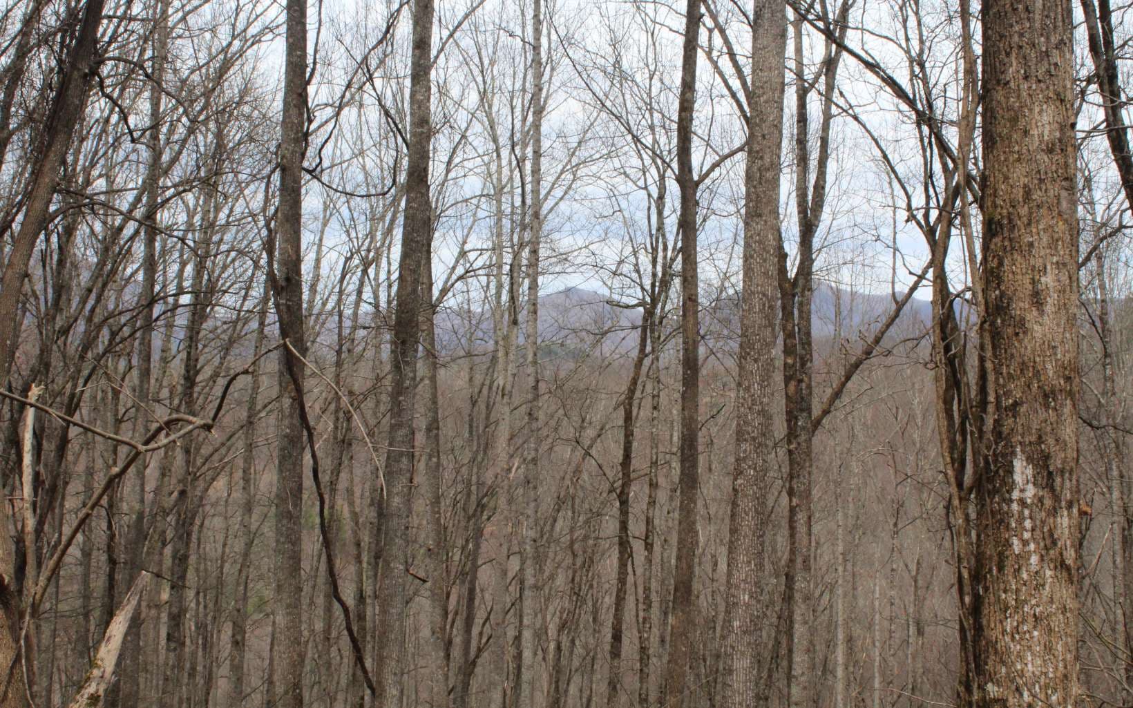 1&1A N Ridge High Meadows, Hayesville NC 28904 - Photo