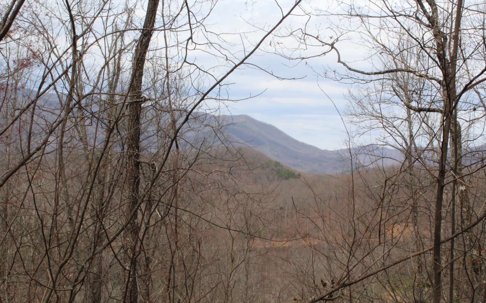 1&1A N Ridge High Meadows, Hayesville NC 28904 - Primary photo