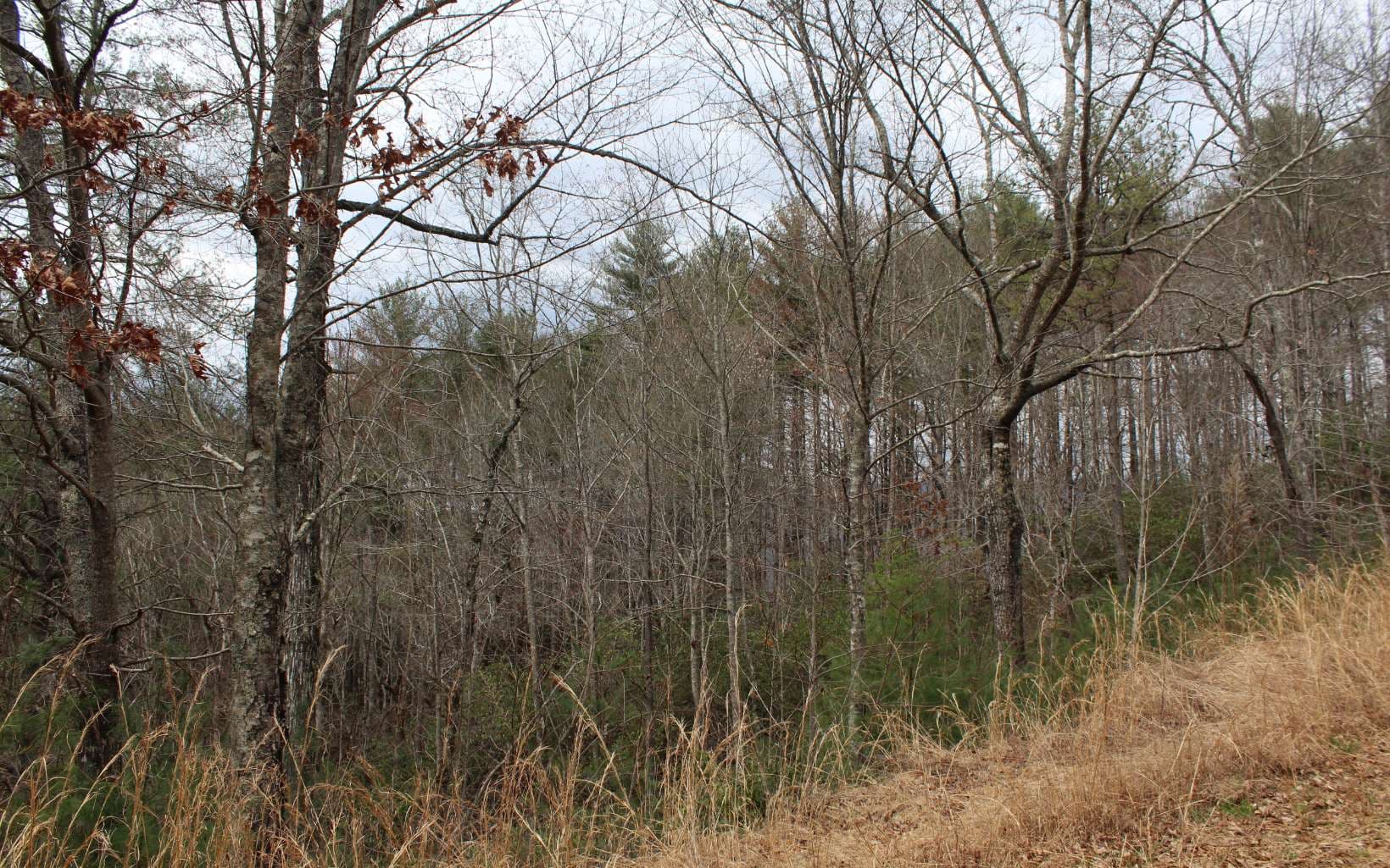 21 N Ridge High Meadows, Hayesville NC 28904 - Photo