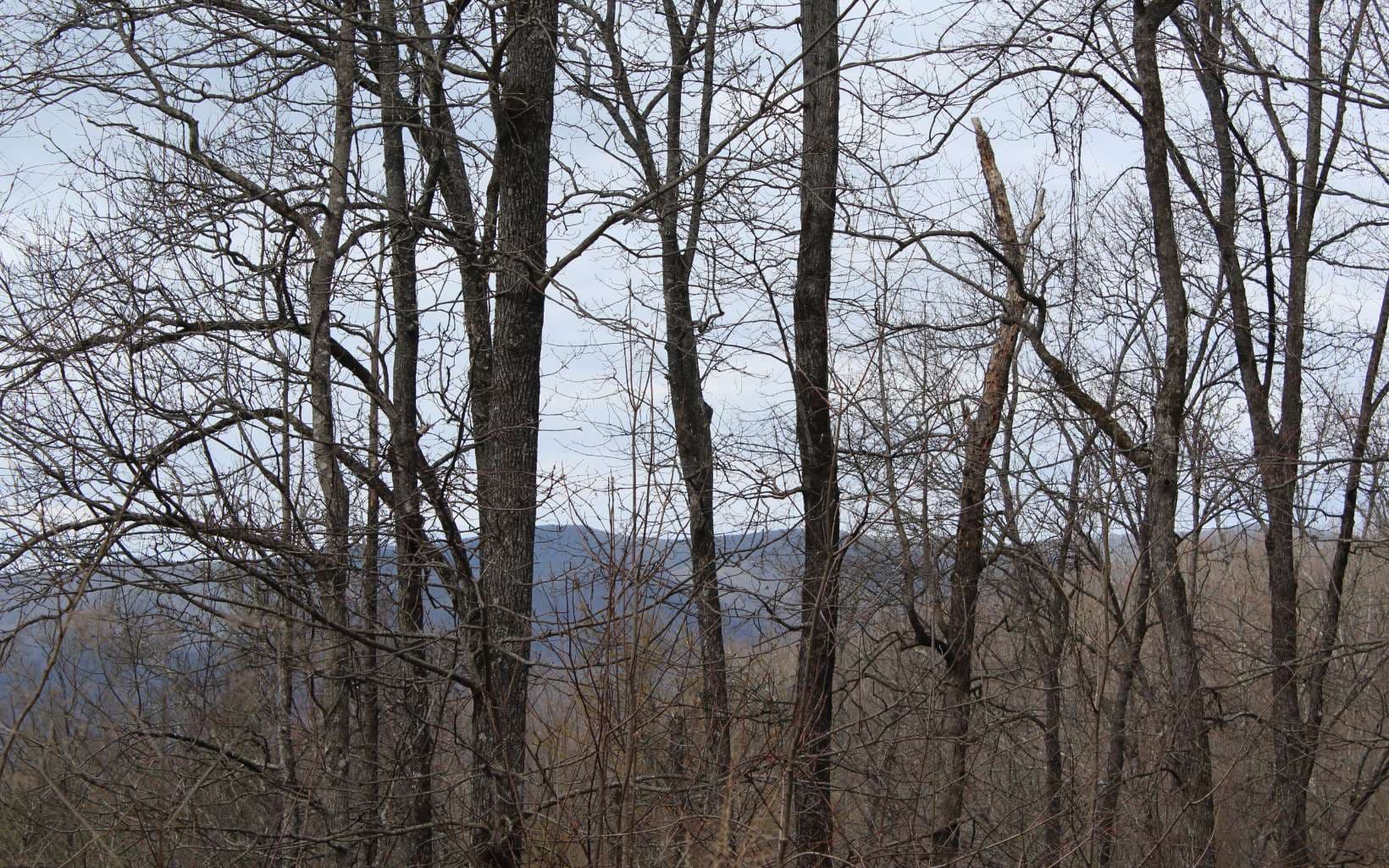 21 N Ridge High Meadows, Hayesville NC 28904 - Photo