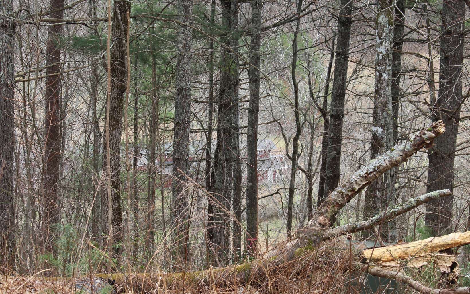 21 N Ridge High Meadows, Hayesville NC 28904 - Photo