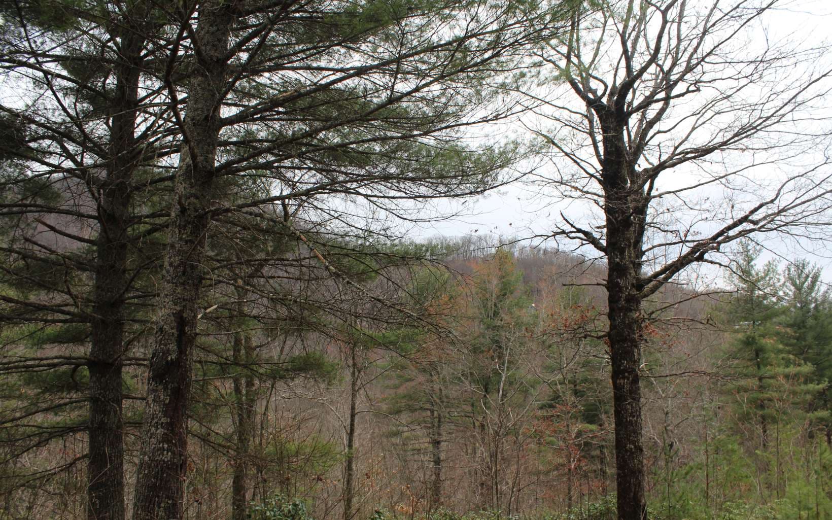21 N Ridge High Meadows, Hayesville NC 28904 - Photo