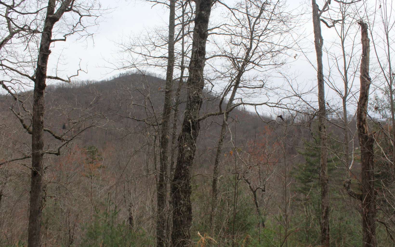 21 N Ridge High Meadows, Hayesville NC 28904 - Photo