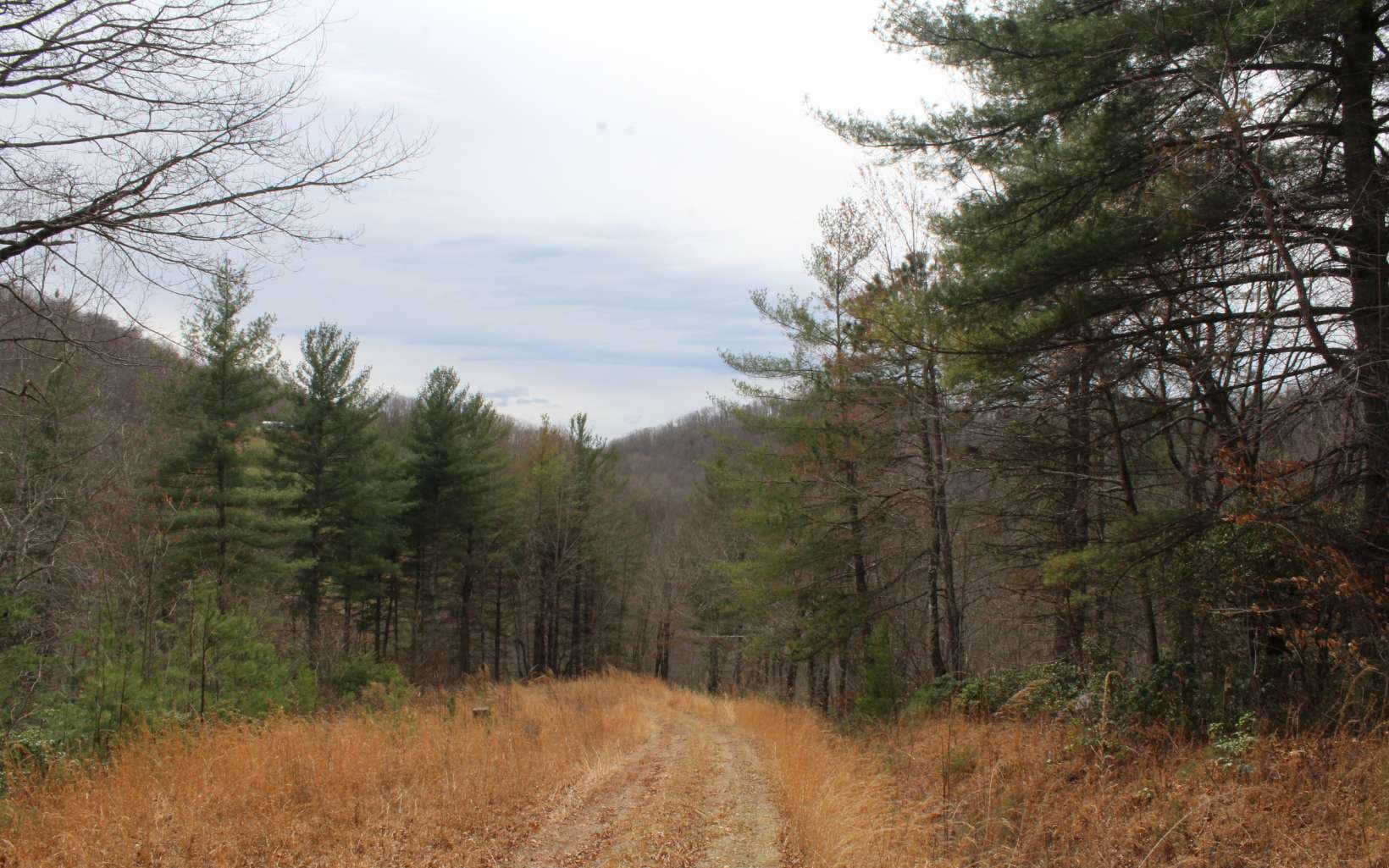 21 N Ridge High Meadows, Hayesville NC 28904 - Photo