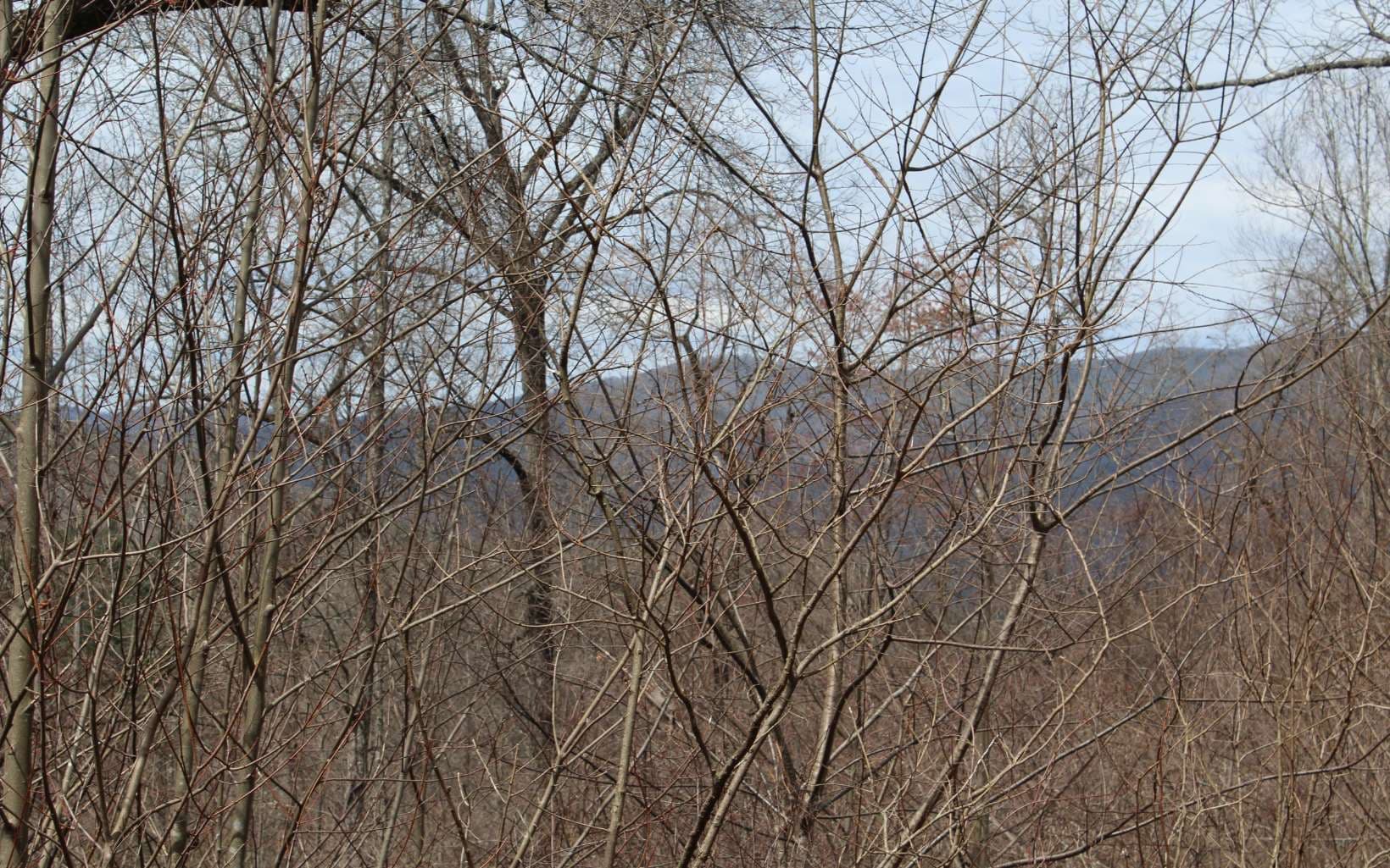 21 N Ridge High Meadows, Hayesville NC 28904 - Photo