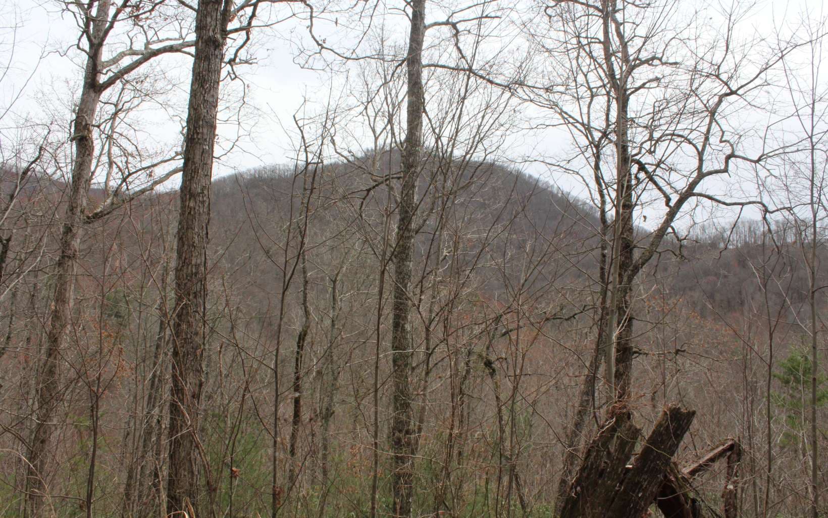 21 N Ridge High Meadows, Hayesville NC 28904 - Photo