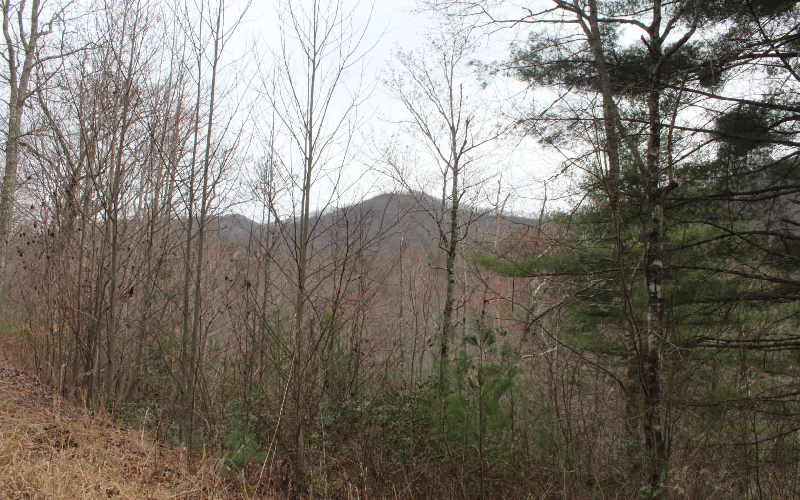21 N Ridge High Meadows, Hayesville NC 28904 - Photo