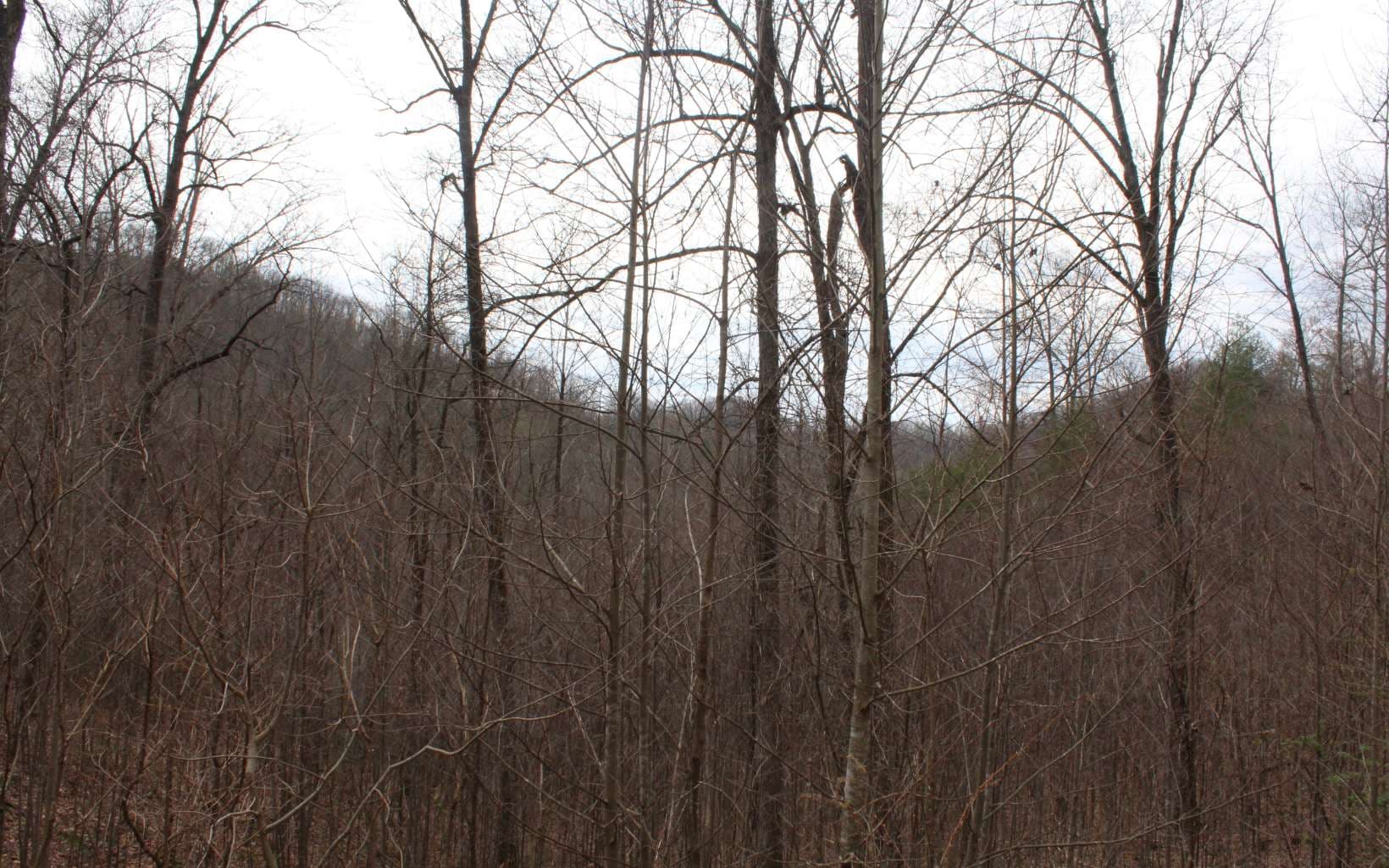 21 N Ridge High Meadows, Hayesville NC 28904 - Photo