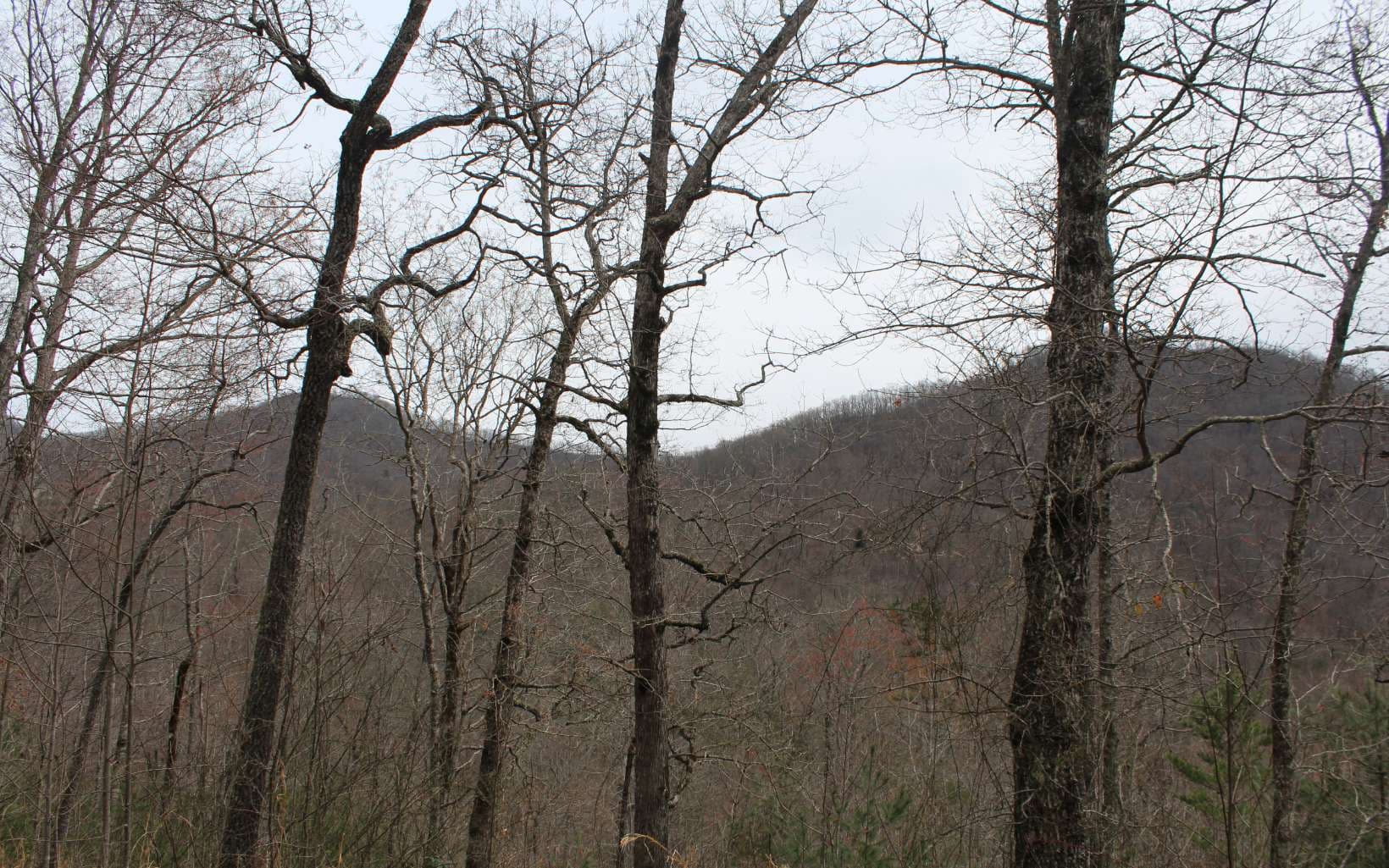 21 N Ridge High Meadows, Hayesville NC 28904 - Photo