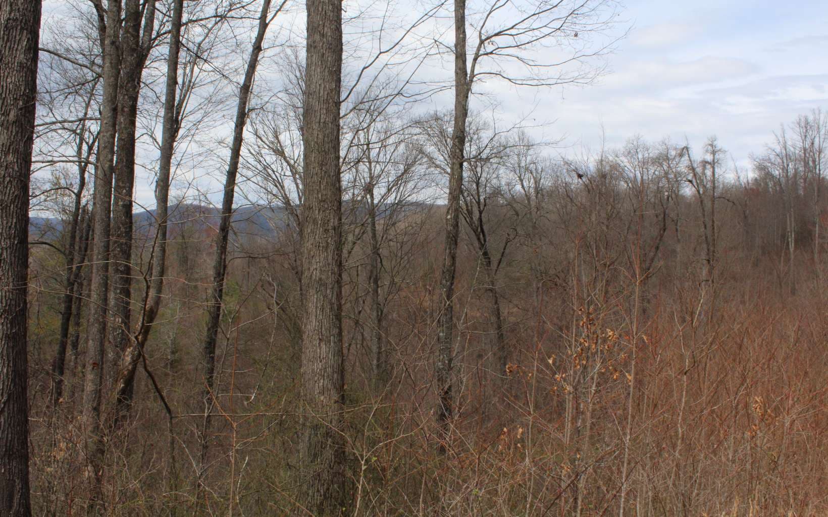21 N Ridge High Meadows, Hayesville NC 28904 - Photo