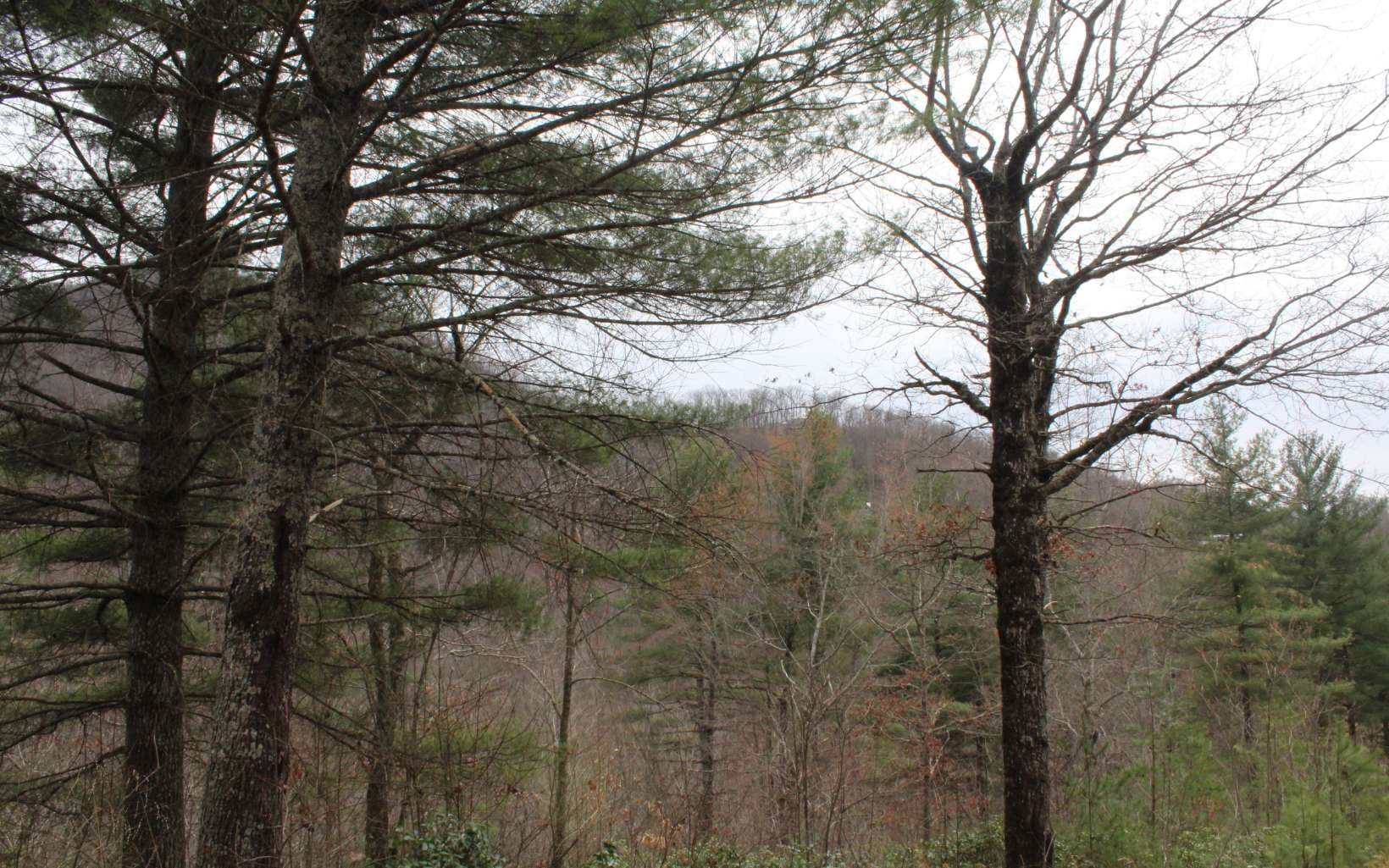 21 N Ridge High Meadows, Hayesville NC 28904 - Photo