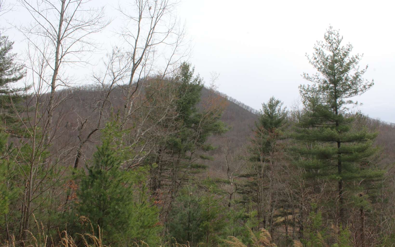 21 N Ridge High Meadows, Hayesville NC 28904 - Photo