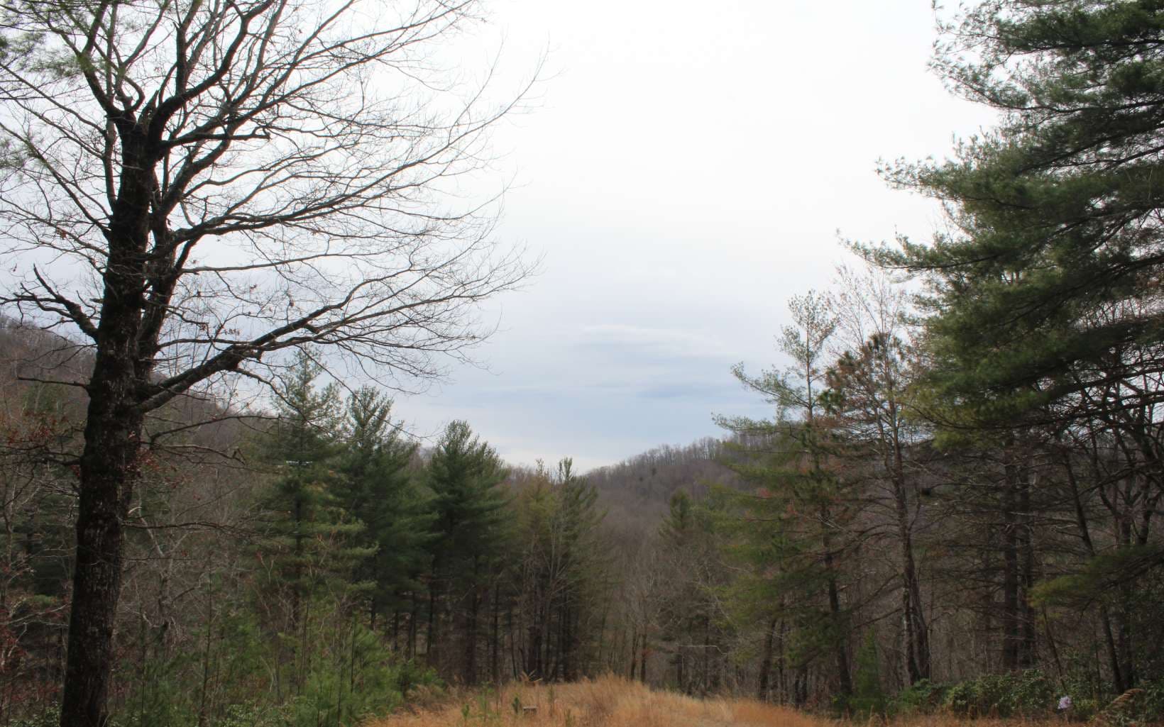21 N Ridge High Meadows, Hayesville NC 28904 - Photo