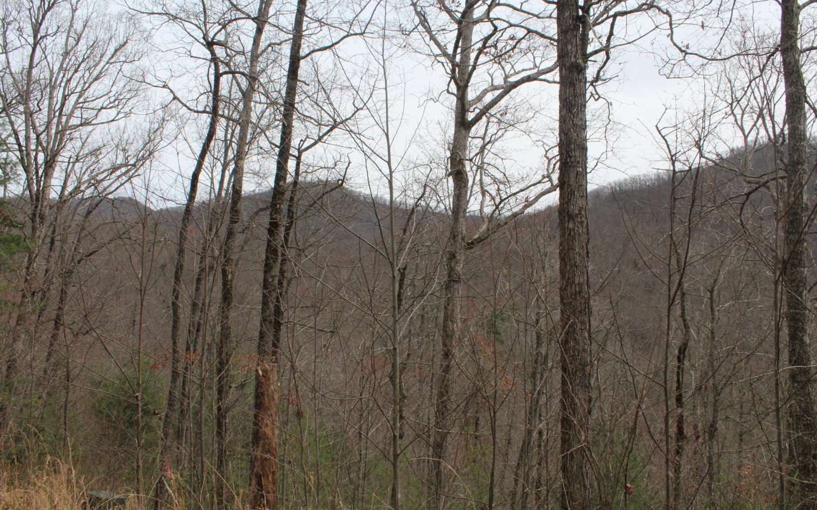 21 N Ridge High Meadows, Hayesville NC 28904 - Photo
