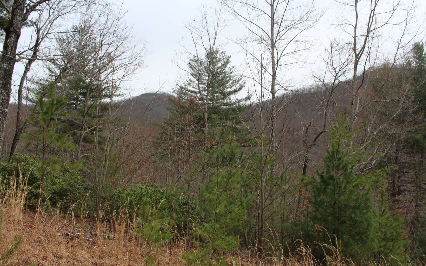 21 N Ridge High Meadows, Hayesville NC 28904 - Photo