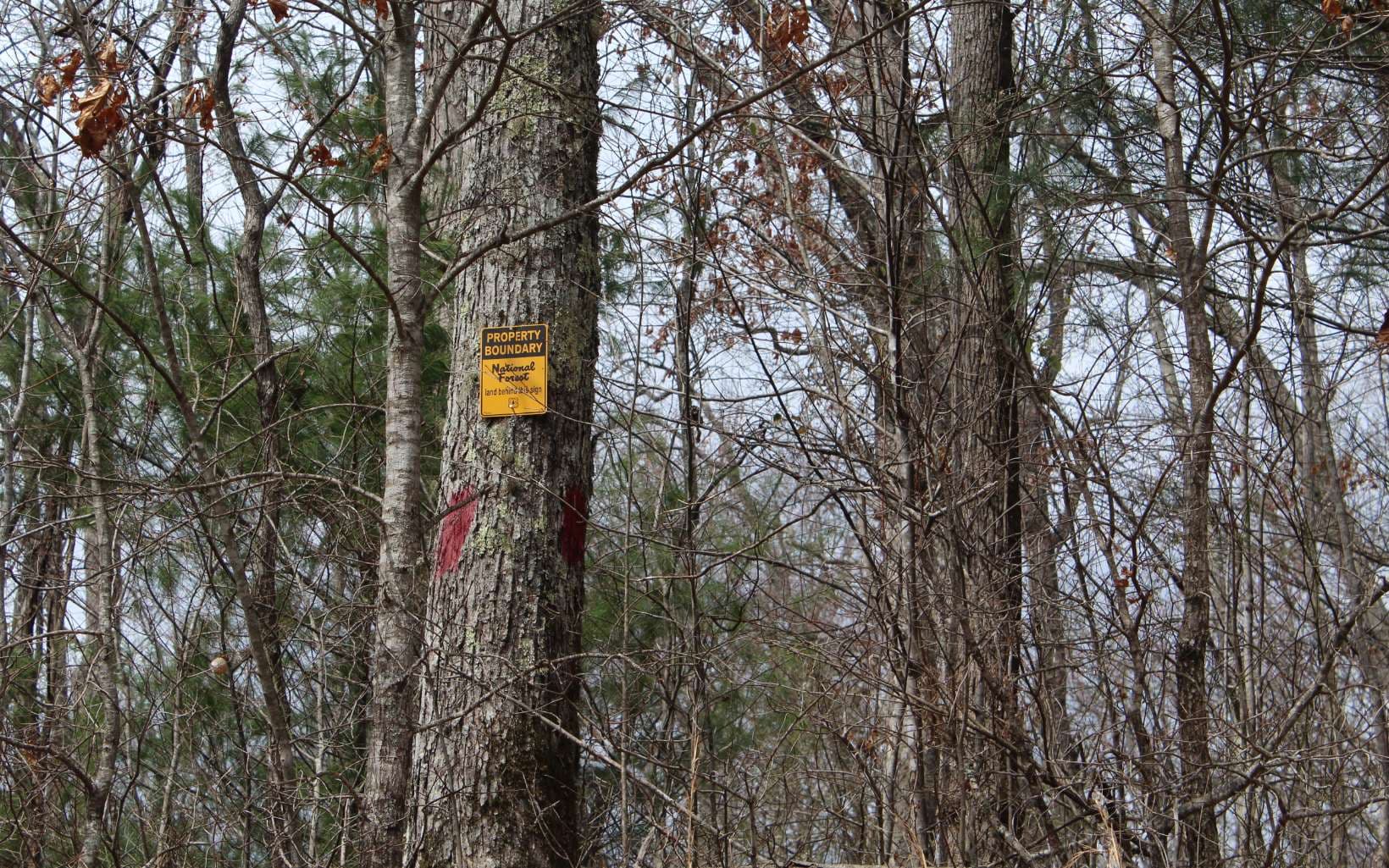 21 N Ridge High Meadows, Hayesville NC 28904 - Photo