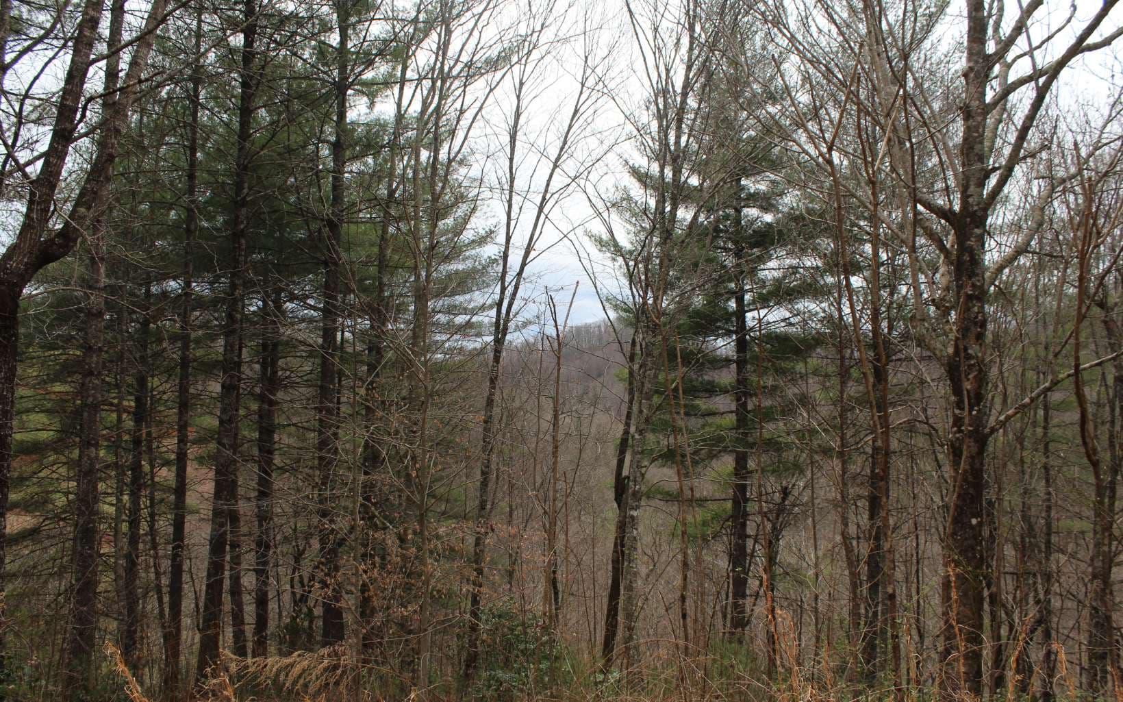 21 N Ridge High Meadows, Hayesville NC 28904 - Photo
