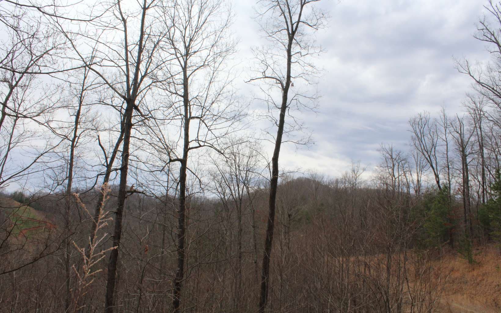 27&28 N Ridge High Meadows, Hayesville NC 28904 - Photo