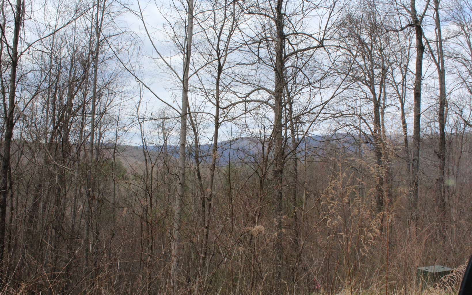 27&28 N Ridge High Meadows, Hayesville NC 28904 - Photo