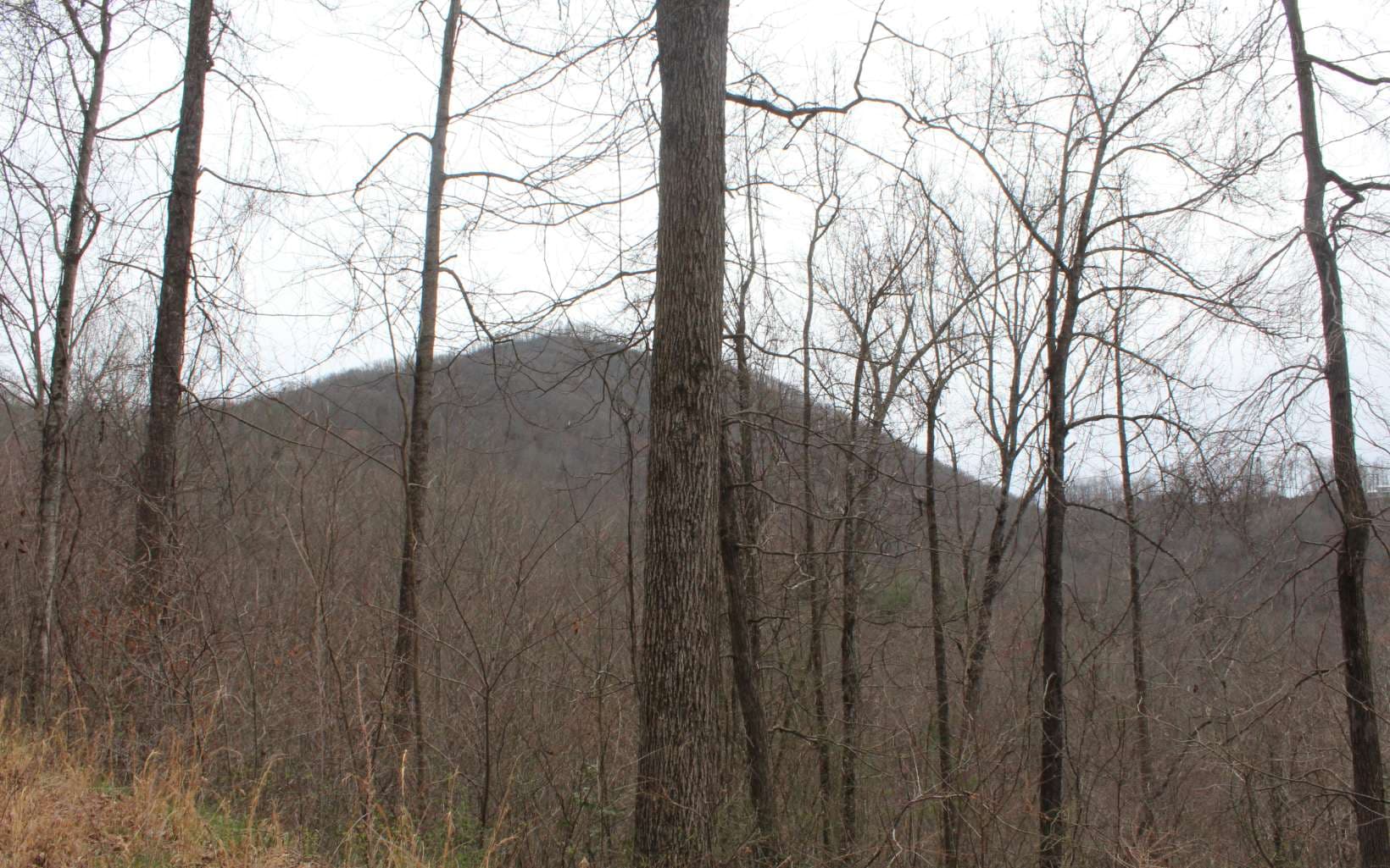 29&30 N Ridge High Meadows, Hayesville NC 28904 - Photo