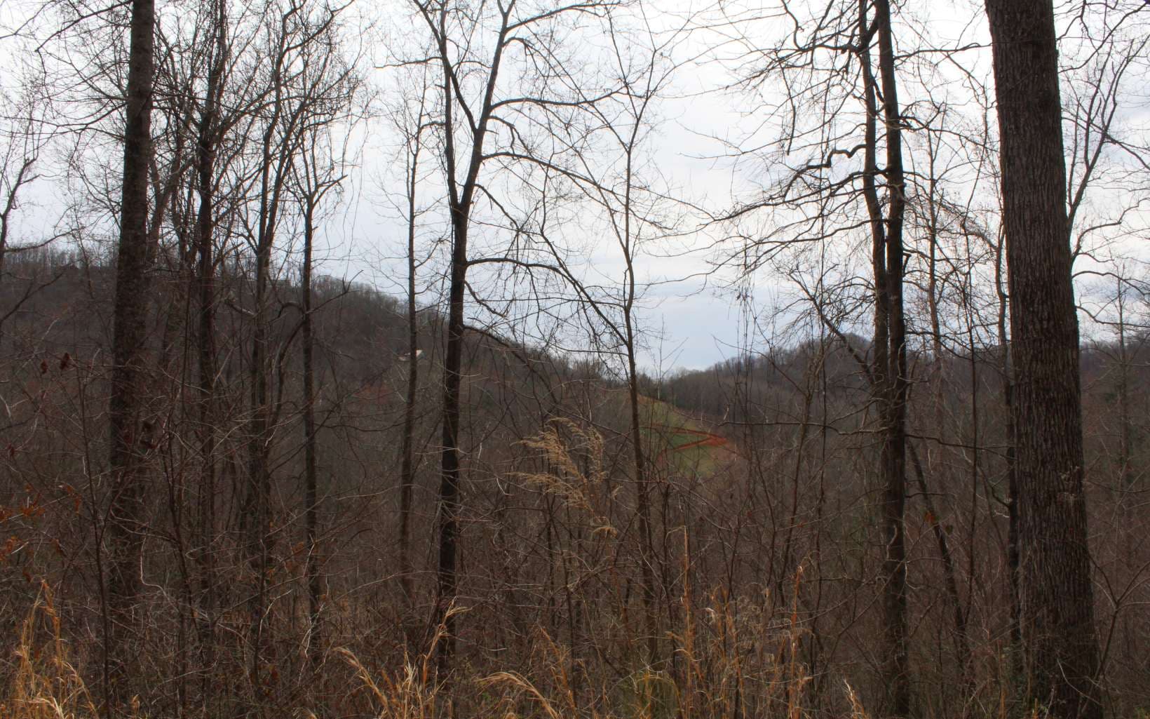 29&30 N Ridge High Meadows, Hayesville NC 28904 - Photo