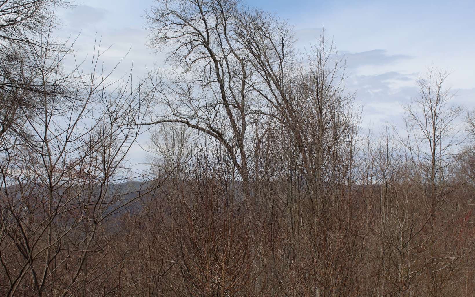 29&30 N Ridge High Meadows, Hayesville NC 28904 - Photo