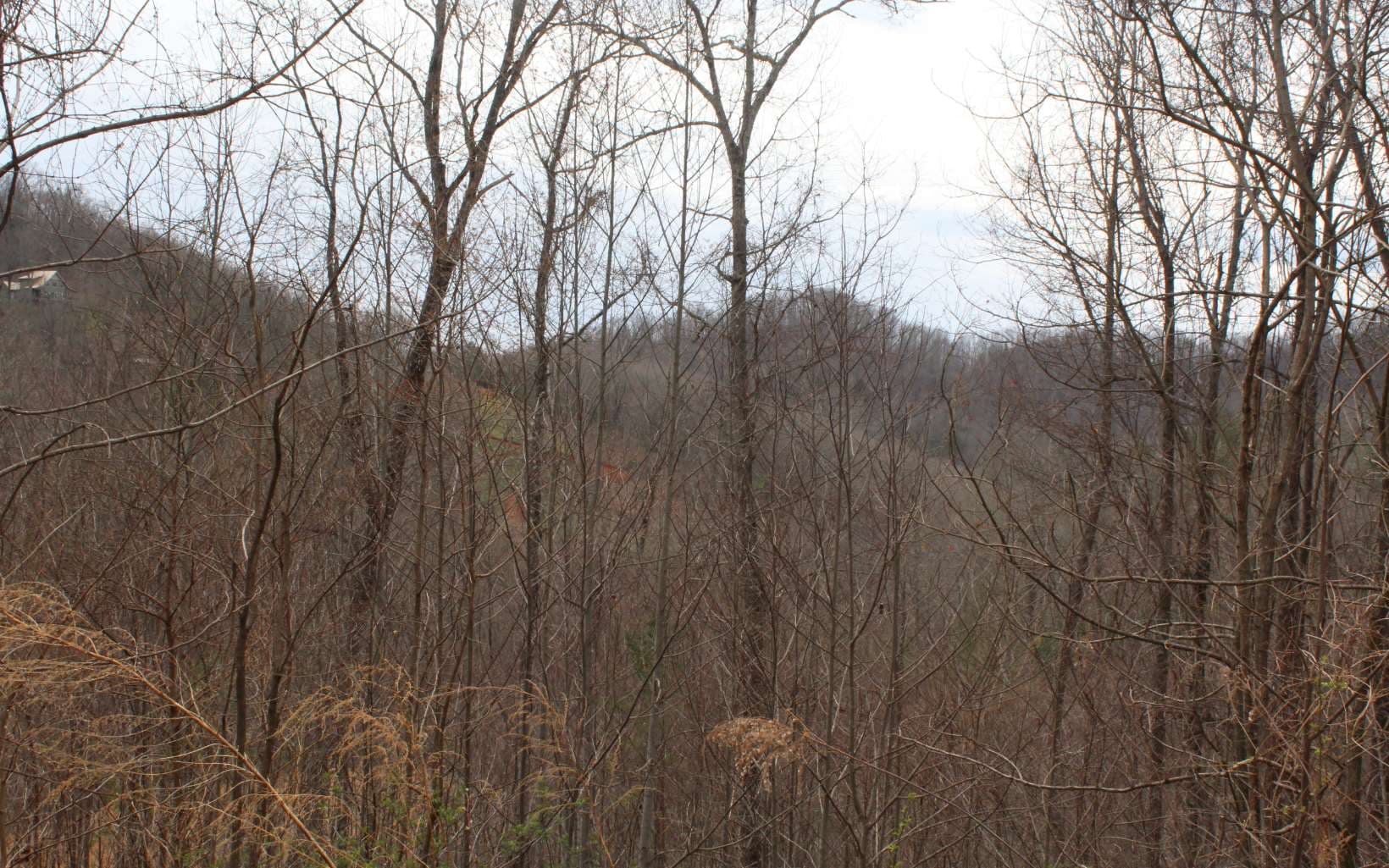 29&30 N Ridge High Meadows, Hayesville NC 28904 - Photo