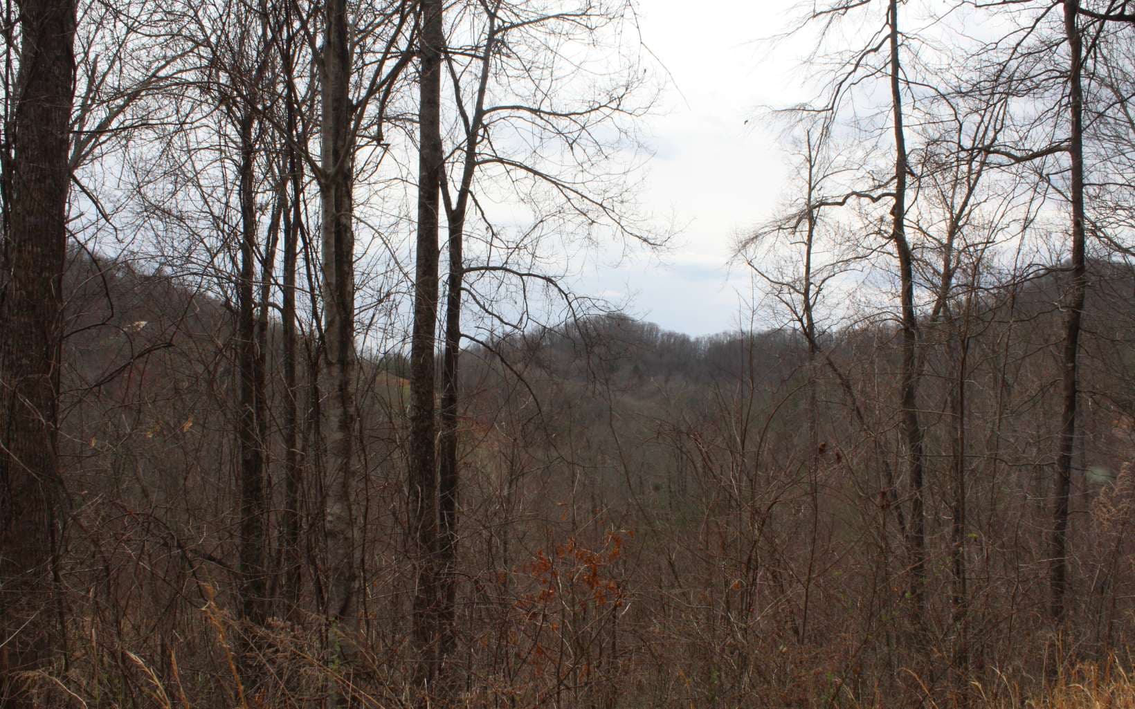 29&30 N Ridge High Meadows, Hayesville NC 28904 - Photo