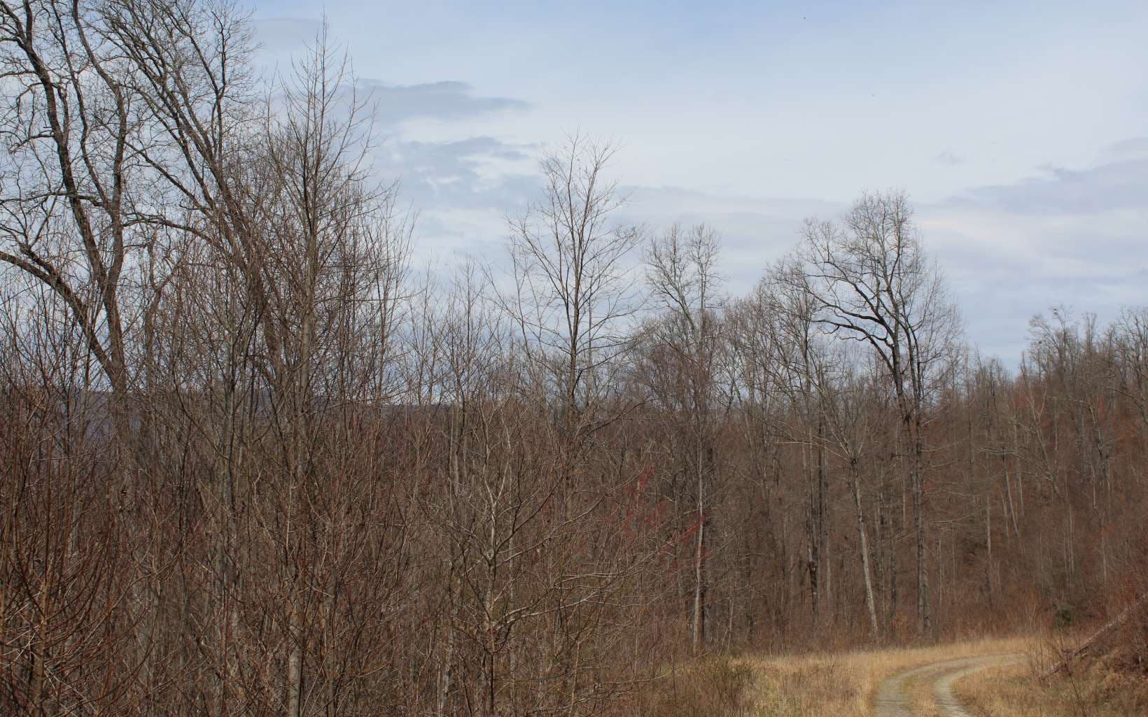 52 N Ridge High Meadows, Hayesville NC 28904 - Photo