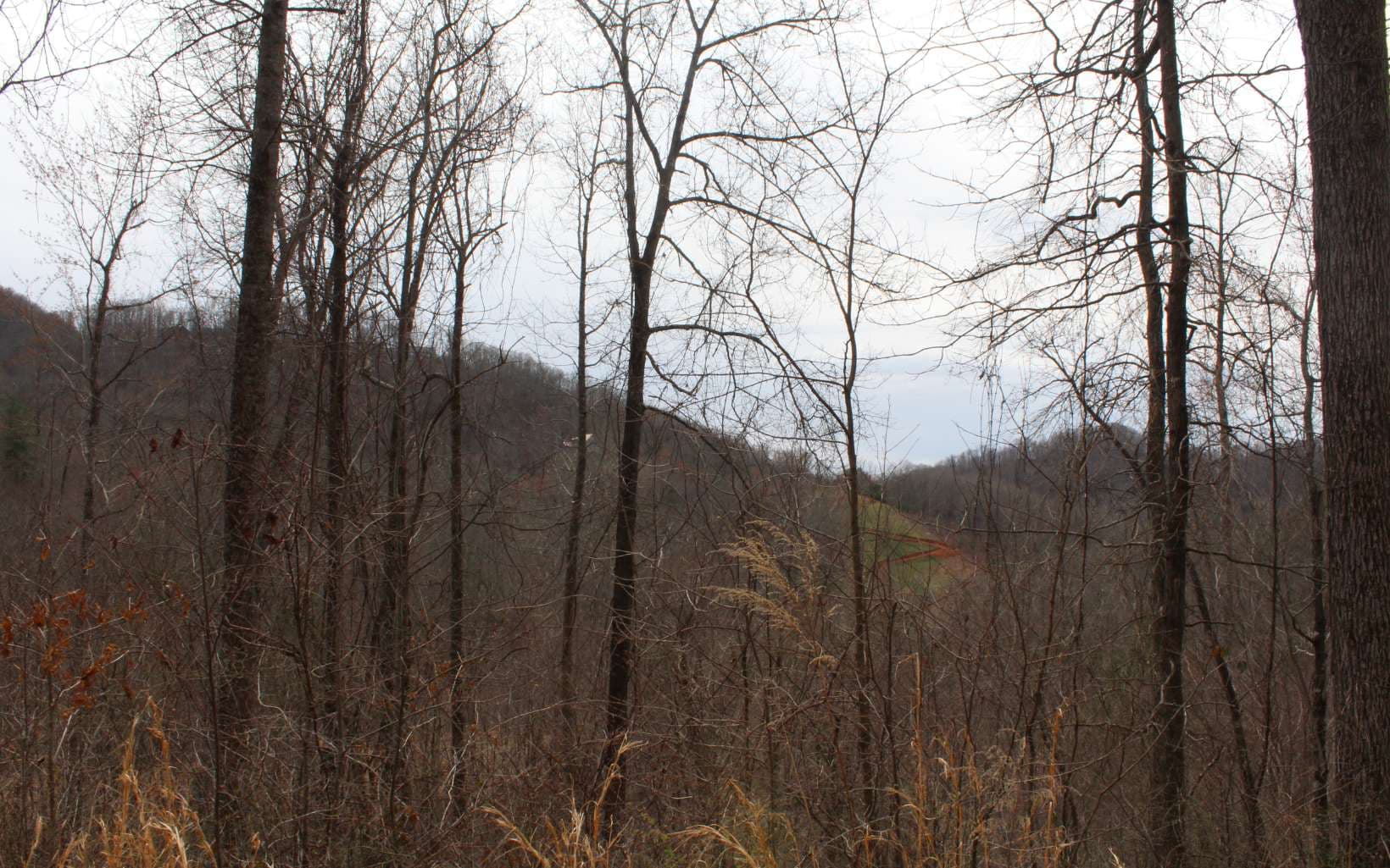 52 N Ridge High Meadows, Hayesville NC 28904 - Photo