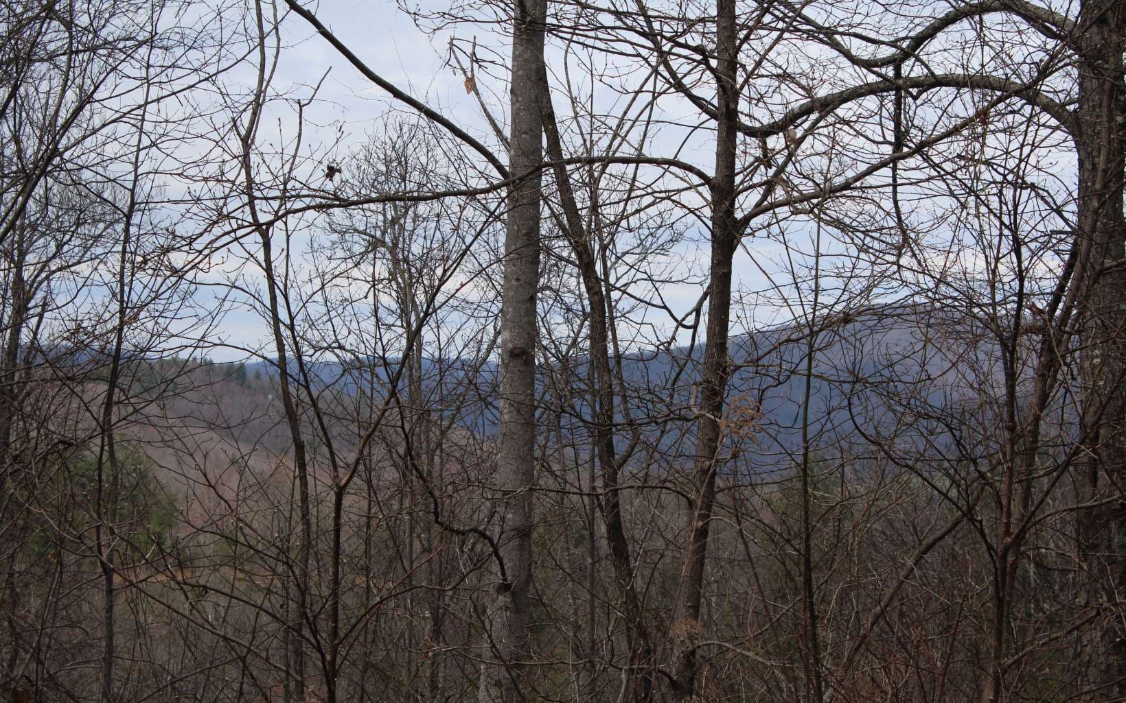 52 N Ridge High Meadows, Hayesville NC 28904 - Photo
