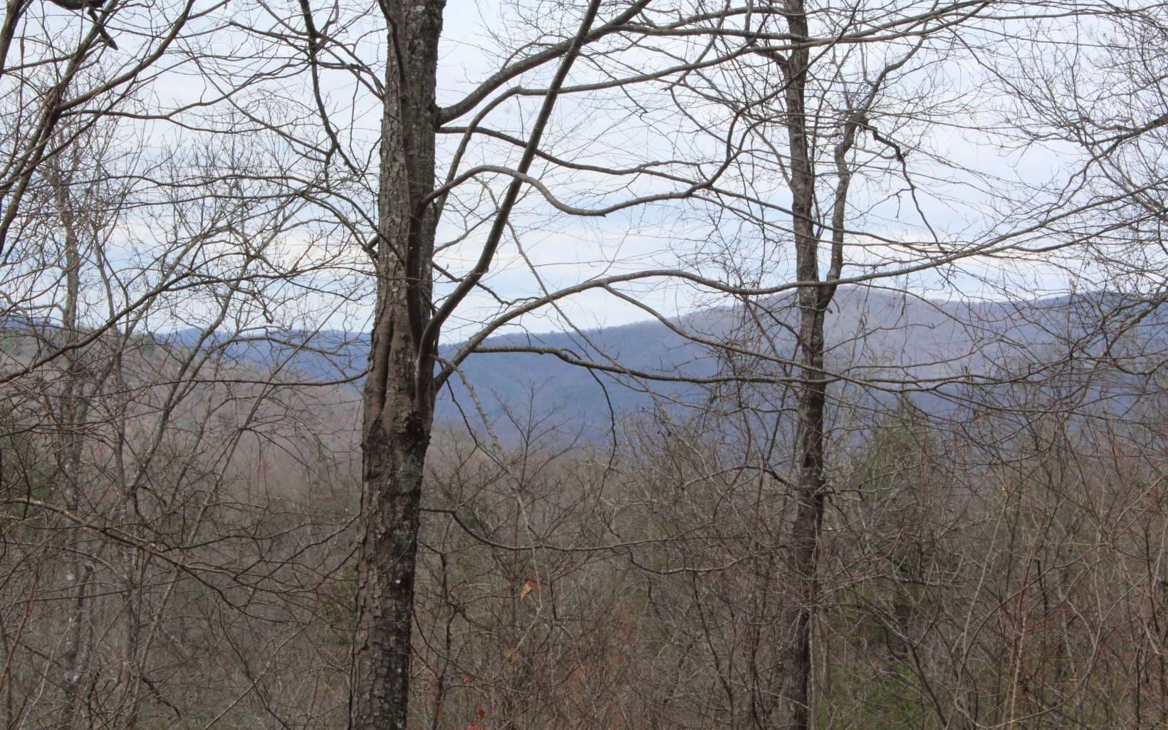52 N Ridge High Meadows, Hayesville NC 28904 - Primary photo