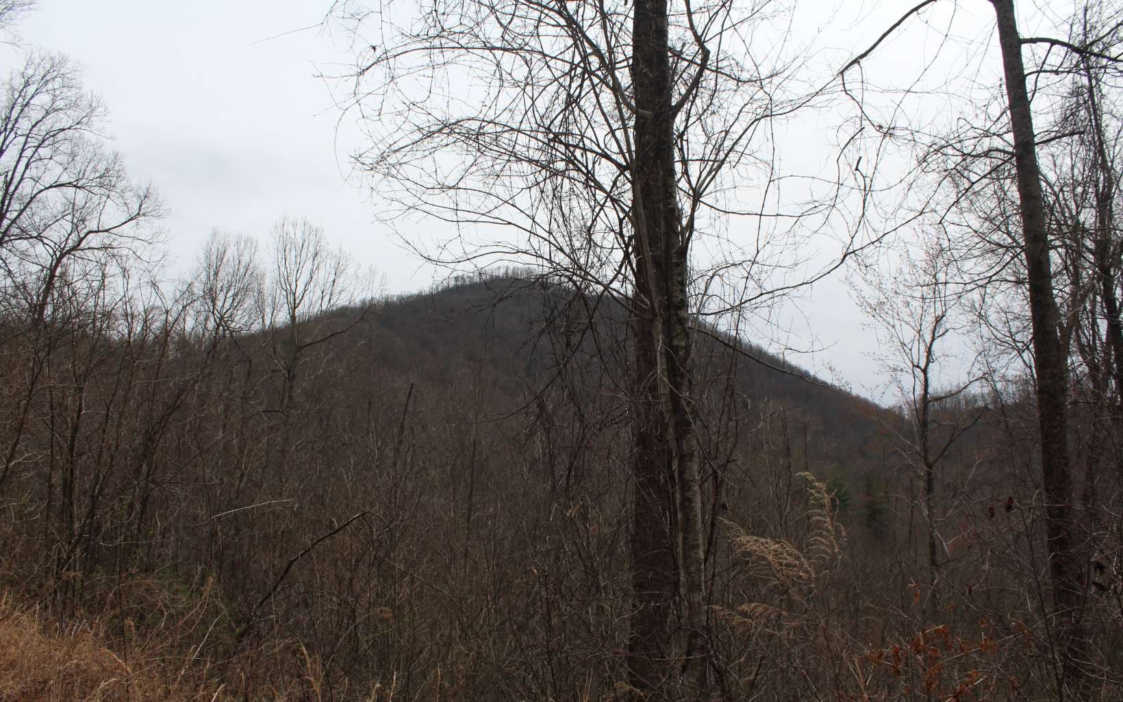 52 N Ridge High Meadows, Hayesville NC 28904 - Photo