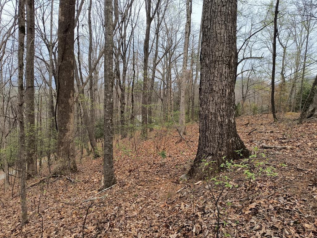 M99 Sleepy Hollow Road, Ellijay GA 30536 - Photo